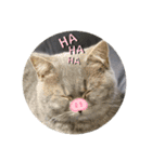 こねこのJin君（個別スタンプ：38）