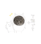 こねこのJin君（個別スタンプ：40）