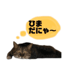 めめといっしょ【日常編】（個別スタンプ：2）