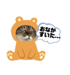 めめといっしょ【日常編】（個別スタンプ：5）