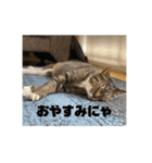 めめといっしょ【日常編】（個別スタンプ：9）