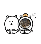 めめといっしょ【日常編】（個別スタンプ：14）