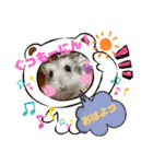 プリンの日常生活（個別スタンプ：1）