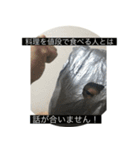 ビニール袋マンのいつでも使えるスタンプ（個別スタンプ：2）