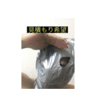 ビニール袋マンのいつでも使えるスタンプ（個別スタンプ：6）