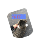 ビニール袋マンのいつでも使えるスタンプ（個別スタンプ：14）