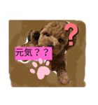 愛犬と時々娘（個別スタンプ：2）