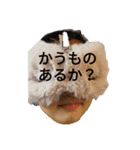 愛犬と時々娘（個別スタンプ：3）