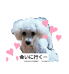愛犬と時々娘（個別スタンプ：5）