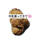 愛犬と時々娘（個別スタンプ：8）
