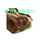 みそP（個別スタンプ：6）