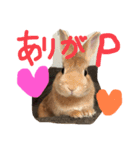 みそP（個別スタンプ：7）