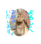 みそP（個別スタンプ：8）