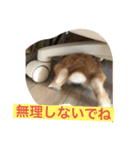 みそP（個別スタンプ：14）