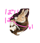 みそP（個別スタンプ：15）