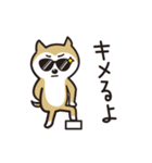 わん わん わんこの生活（個別スタンプ：10）