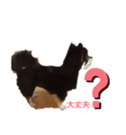 いぬ大好きな人向け（個別スタンプ：6）