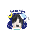 クロしろ君（個別スタンプ：3）