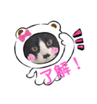 クロしろ君（個別スタンプ：5）