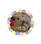キンクマこむぎの日常（個別スタンプ：13）