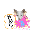 三角な猫4（個別スタンプ：1）