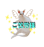 三角な猫4（個別スタンプ：14）
