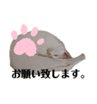 三角な猫4（個別スタンプ：16）