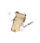 しるこスタンプ（個別スタンプ：15）