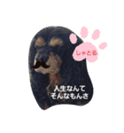 あーちんしゃーちんWORLD（個別スタンプ：5）