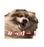 そら's スタンプ（個別スタンプ：1）