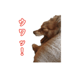 そら's スタンプ（個別スタンプ：21）