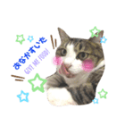 ゆずの日常スタンプ。（個別スタンプ：8）