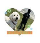 のえる＆のあ＆ハク君❤（個別スタンプ：1）