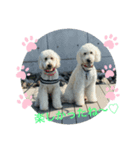 のえる＆のあ＆ハク君❤（個別スタンプ：2）