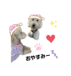 のえる＆のあ＆ハク君❤（個別スタンプ：4）