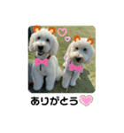 のえる＆のあ＆ハク君❤（個別スタンプ：5）