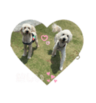のえる＆のあ＆ハク君❤（個別スタンプ：6）