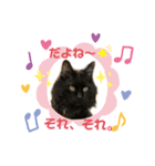ねこにゃんスタンプ  ②（個別スタンプ：5）