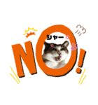 ねこにゃんスタンプ  ②（個別スタンプ：7）