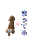 こたてぃのろかそる（個別スタンプ：8）