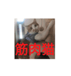 幸ちゃん＆レオン（個別スタンプ：1）