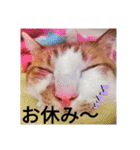 幸ちゃん＆レオン（個別スタンプ：9）