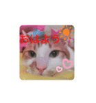幸ちゃん＆レオン（個別スタンプ：18）