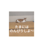 幸ちゃん＆レオン（個別スタンプ：19）