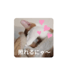 幸ちゃん＆レオン（個別スタンプ：37）