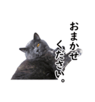 るん嬢の敬語スタンプ（ブリティッシュ）（個別スタンプ：2）