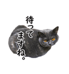 るん嬢の敬語スタンプ（ブリティッシュ）（個別スタンプ：3）