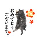 るん嬢の敬語スタンプ（ブリティッシュ）（個別スタンプ：15）