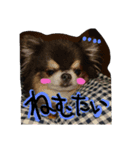 おゲンスタンプ（個別スタンプ：1）