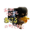 おゲンスタンプ（個別スタンプ：6）